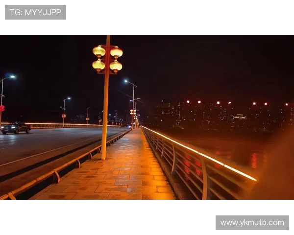 南昌夏夜燃动！1.5 万人夜跑点亮洪州大桥